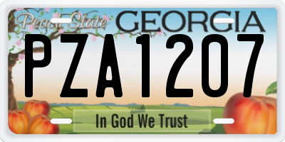 GA license plate PZA1207