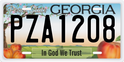 GA license plate PZA1208