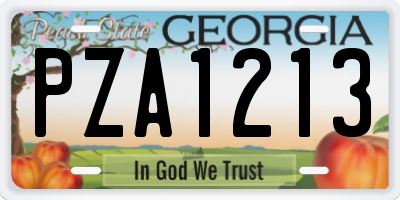 GA license plate PZA1213