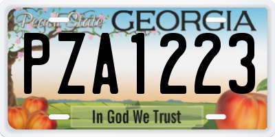 GA license plate PZA1223