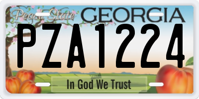 GA license plate PZA1224