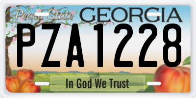 GA license plate PZA1228