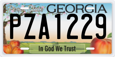 GA license plate PZA1229
