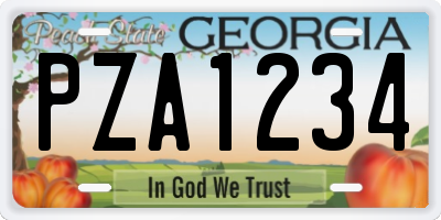 GA license plate PZA1234