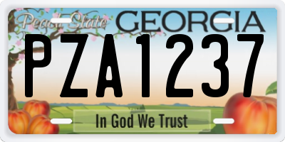 GA license plate PZA1237