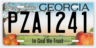 GA license plate PZA1241
