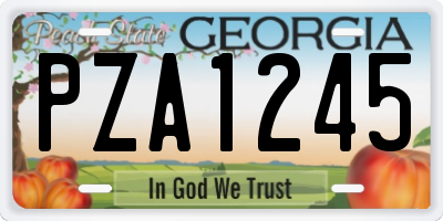 GA license plate PZA1245