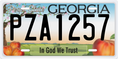 GA license plate PZA1257