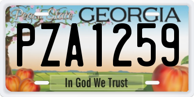 GA license plate PZA1259