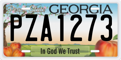 GA license plate PZA1273