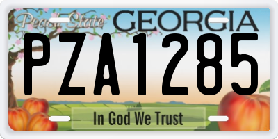 GA license plate PZA1285