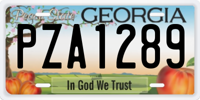 GA license plate PZA1289