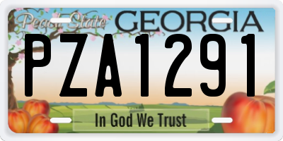 GA license plate PZA1291