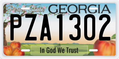 GA license plate PZA1302