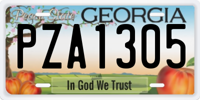 GA license plate PZA1305