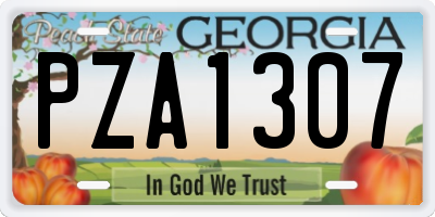 GA license plate PZA1307