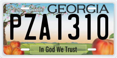 GA license plate PZA1310