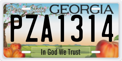 GA license plate PZA1314
