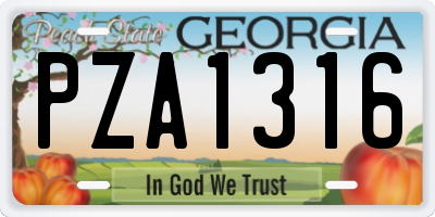 GA license plate PZA1316