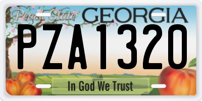 GA license plate PZA1320