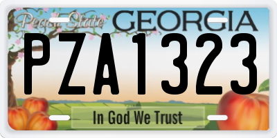 GA license plate PZA1323