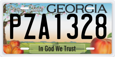 GA license plate PZA1328