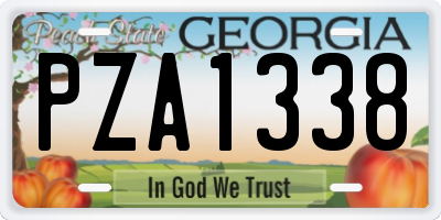GA license plate PZA1338