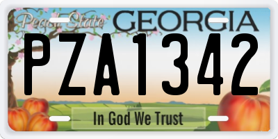 GA license plate PZA1342