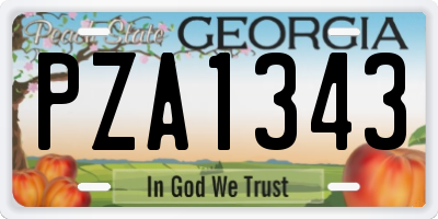 GA license plate PZA1343