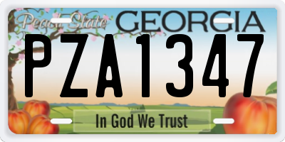 GA license plate PZA1347