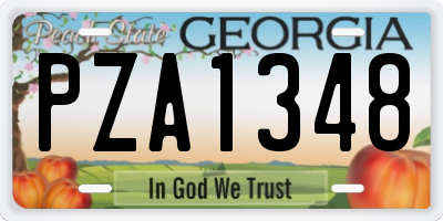 GA license plate PZA1348
