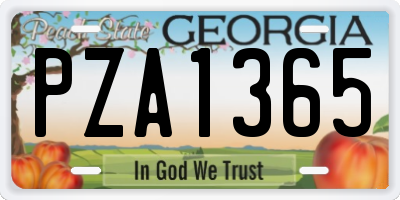 GA license plate PZA1365