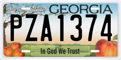 GA license plate PZA1374