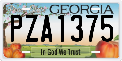GA license plate PZA1375