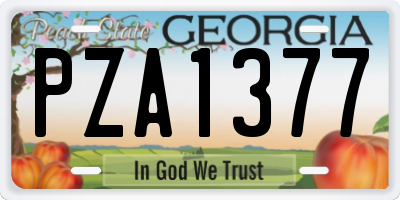 GA license plate PZA1377