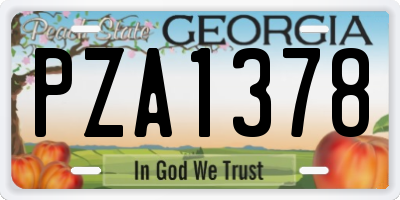 GA license plate PZA1378