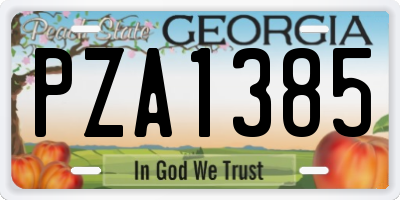 GA license plate PZA1385