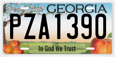 GA license plate PZA1390