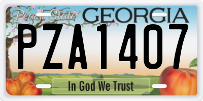 GA license plate PZA1407
