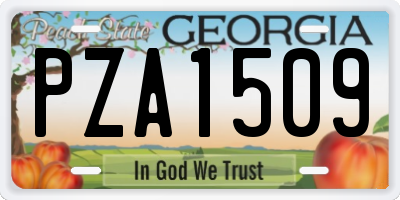 GA license plate PZA1509