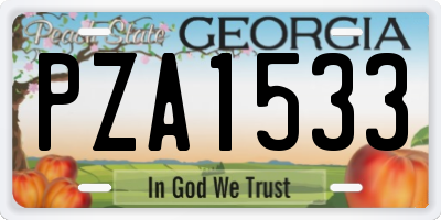 GA license plate PZA1533