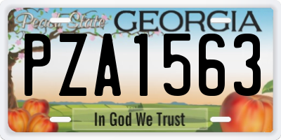 GA license plate PZA1563