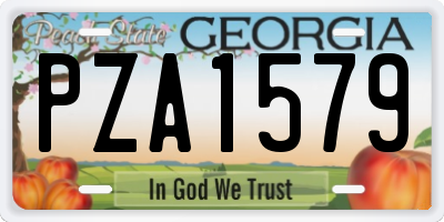 GA license plate PZA1579