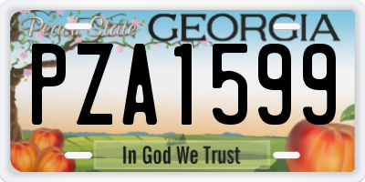 GA license plate PZA1599