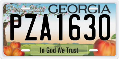 GA license plate PZA1630