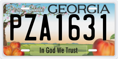 GA license plate PZA1631