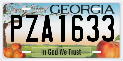 GA license plate PZA1633