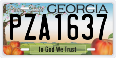GA license plate PZA1637