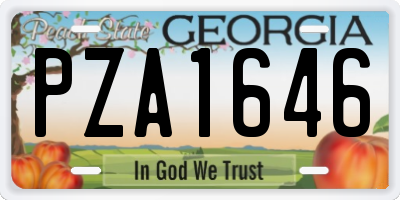 GA license plate PZA1646