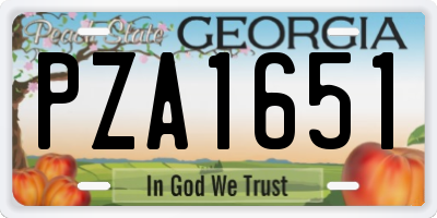 GA license plate PZA1651